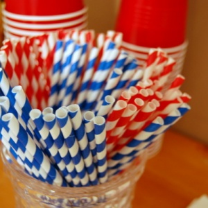 Paper Straws